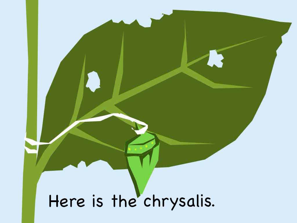 chrysalisx