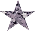silver stars3